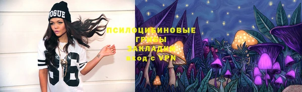 скорость Алексин
