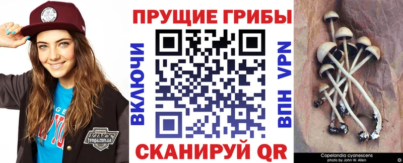 гидра ССЫЛКА  Топки  Галлюциногенные грибы Magic Shrooms 